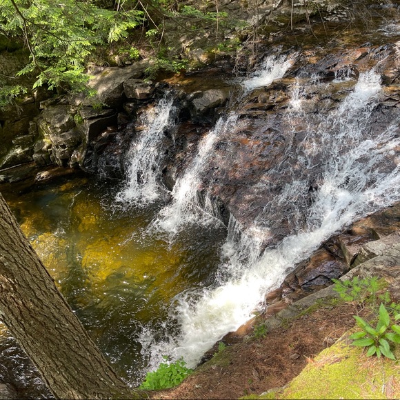 Meet your Posher, Skyler - Picture 3 of 9